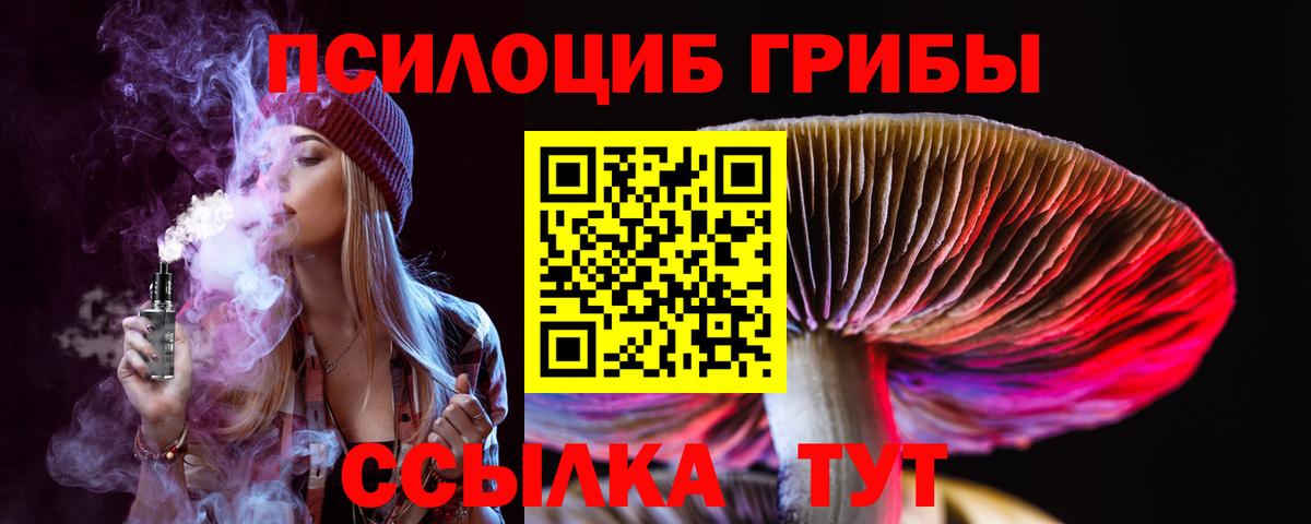 Псилоцибиновые грибы Psilocybine cubensis Братск