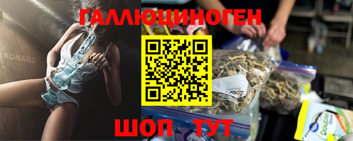 Братск  Псилоцибиновые грибы GOLDEN TEACHER  Вход с VPN  Псилоцибиновые грибы GOLDEN TEACHER 